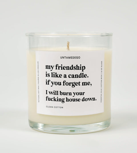 My Friendship Is Like A Candle Glass Candle