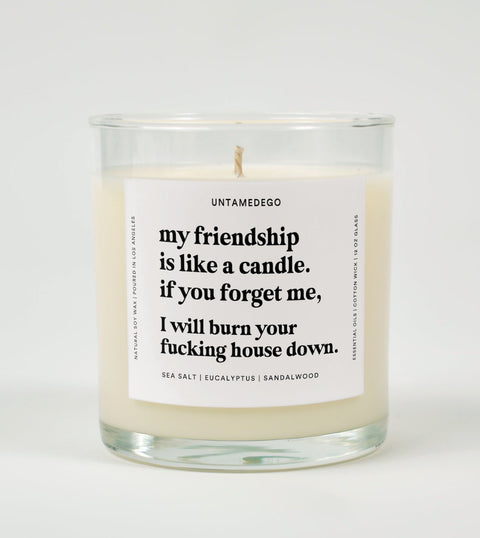 My Friendship Is Like A Candle Glass Candle