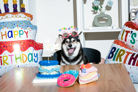 BIRTHDAY BONE