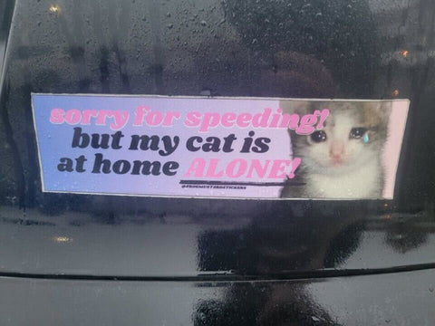 Sorry for Speeding but My Cat is at Home Alone Bumper Sticker