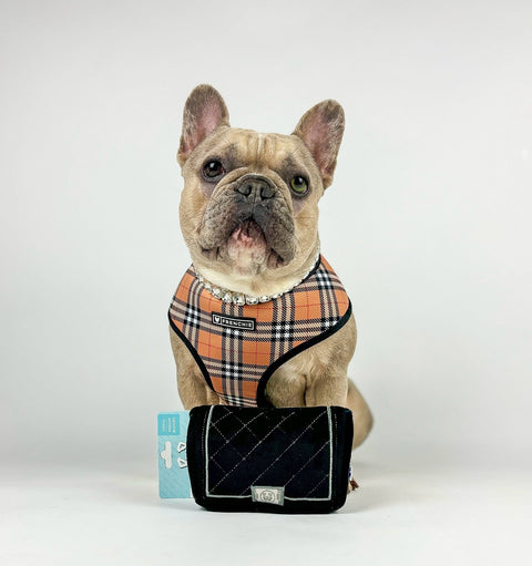 CHEWNEL PLUSH DOG TOY