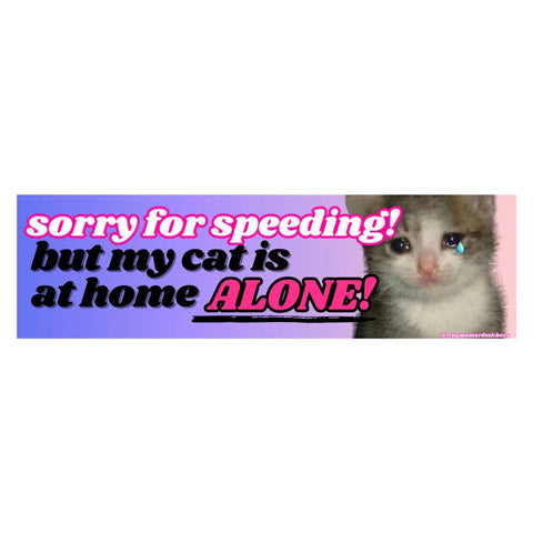 Sorry for Speeding but My Cat is at Home Alone Bumper Sticker