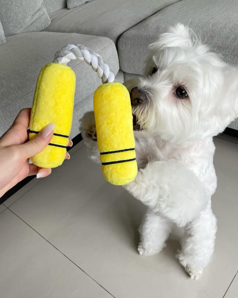 NUNCHUCKS TUG ROPE INTERACTIVE TOY