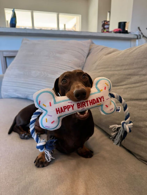 BIRTHDAY BONE