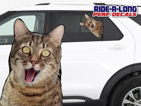 New Screaming Cat RIDE A LONG Perforated Decal