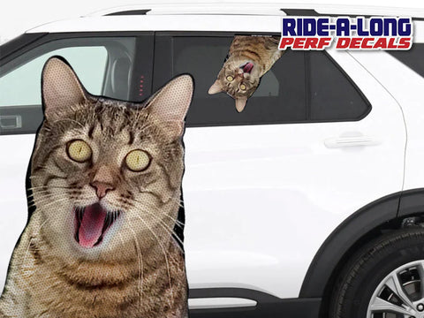 New Screaming Cat RIDE A LONG Perforated Decal
