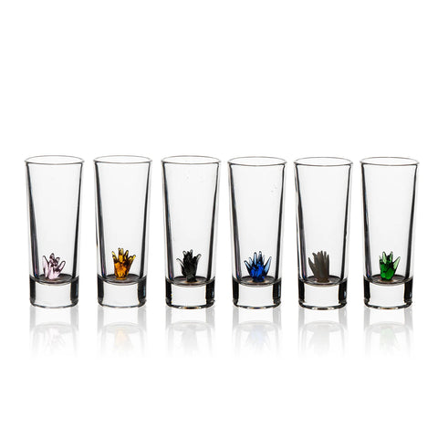 Tequila Decanter Set With Agave Decanter and 6 Agave Shot Glasses