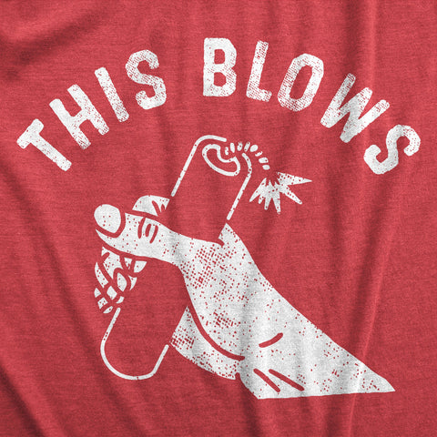 Mens Firework T-Shirts: Funny 4th of July Tees, Firecracker Graphic Novelty Tees for Guys