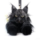 Maine Coon Cat Backpack – Realistic Cat Stylish Daypack
