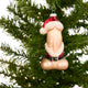Little Saint Nick