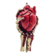 Here's My Heart