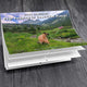 Dogs Pooping in Beautiful Places™ 2026 Calendar