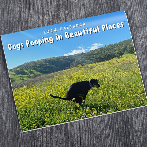 Dogs Pooping in Beautiful Places™ 2024 Calendar✨