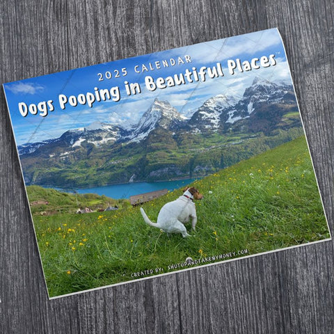 The Original Dogs Pooping In Beautiful Places™ 2025 Calendar