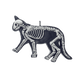 Cat Bones Flatback