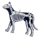 Dog Bones Flatback