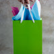 "Just smile and say you love it" Green Gift Bag