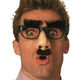 Mr. Boss Groucho Marx Funny Nose Disguise Glasses Bushy Eyebrows and Mustache
