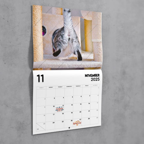 Cat Butthole 2025 Calendar (PRE-ORDER)