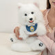 Fluffy Samoyed Backpack - Realistic White Cloud Cozy