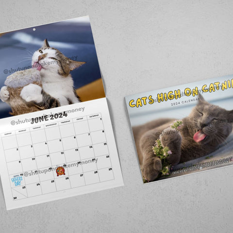 (PRE-ORDER) Cats High On Catnip 2024 Calendar