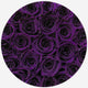 Classic Black Box | Dark Purple Roses