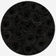 Classic White Box | Black Roses