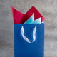 Colored Gift Bag Combo