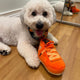 SNEAKERS SHOE INTERACTIVE DOG TOY