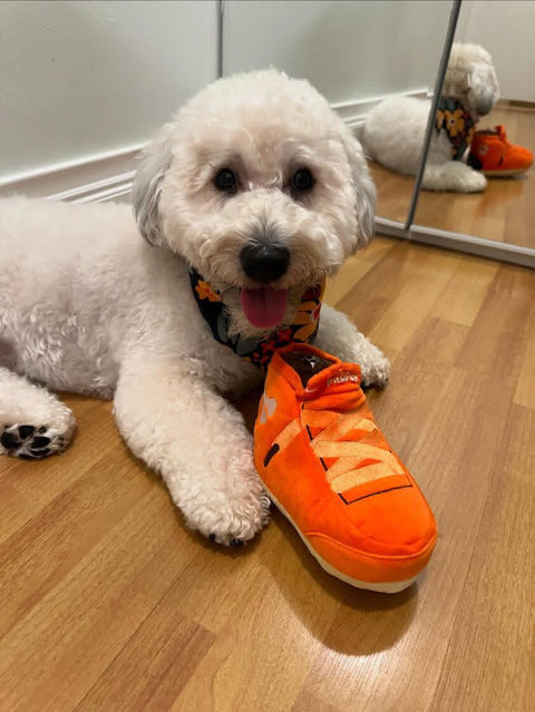SNEAKERS SHOE INTERACTIVE DOG TOY