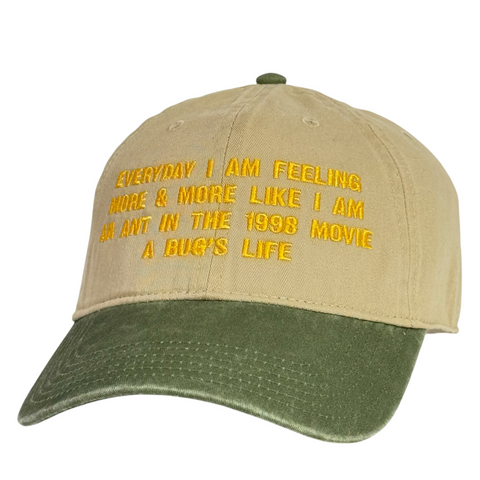 Funny Introvert Hat Everyday I Am Feeling More & More Like I’m an Ant in A Bug’s Life Embroidered Cap