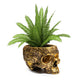 Skull Halloween Candy Bowl, Plant Planter Pot 4" H Polyresin Skulls (Gold)