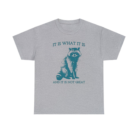 It Is What It Is And It Is Not Great Raccoon Meme Shirt – Vintage Funny Sarcastic Tee