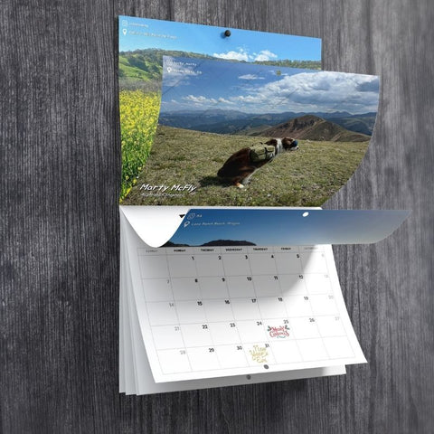 Dogs Pooping in Beautiful Places™ 2027 Calendar