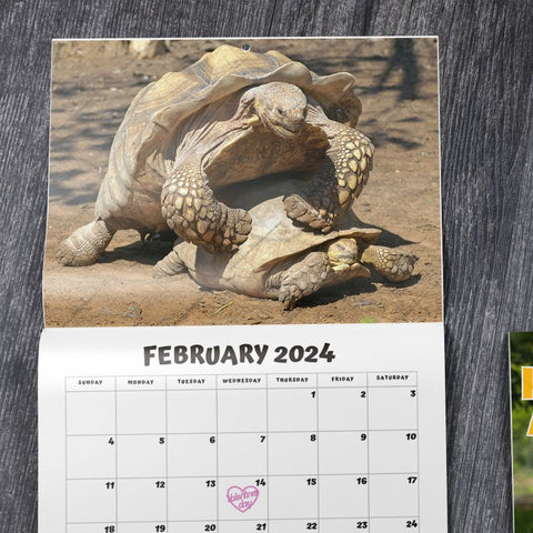 Humping Animals 2025 Calendar (PRE-ORDER)