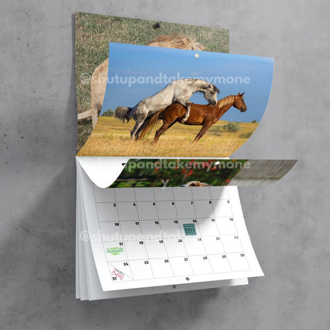 (PRE-ORDER) Humping Animals 2024 Calendar