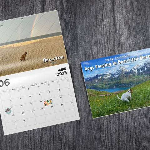 Dogs Pooping In Beautiful Places™ 2025 Calendar