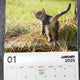 Cat Butthole 2025 Calendar (PRE-ORDER)