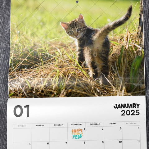 Cat Butthole 2025 Calendar (PRE-ORDER)