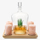 Tequila Decanter With Four Pink Himalayan Salt Shot Glasses Set