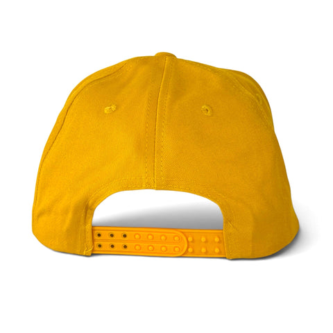 I Just Wanna Drink Beer & Listen to DAC Hat