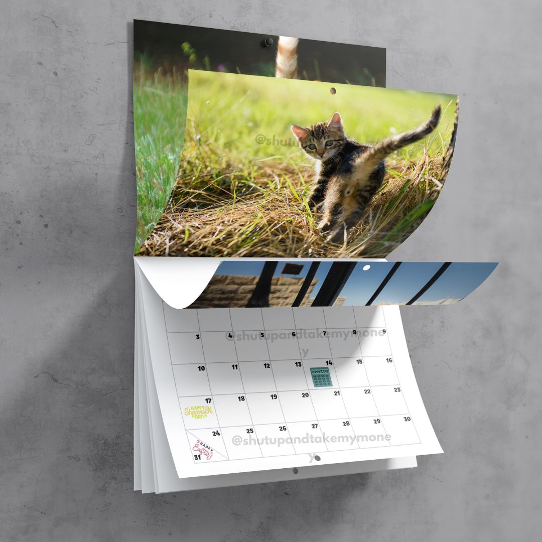 Cat Buttholes 2024 Calendar Shut Up And Take My MONEY   6 432c23cc 6586 47bc 8013 B6913a4b11ad 