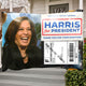 Kamala Harris Coconut Club Prank Package With Fake Donation Invoice