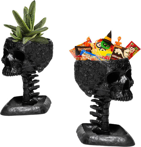 Skull with Backbone Plant Planter Pot 6"