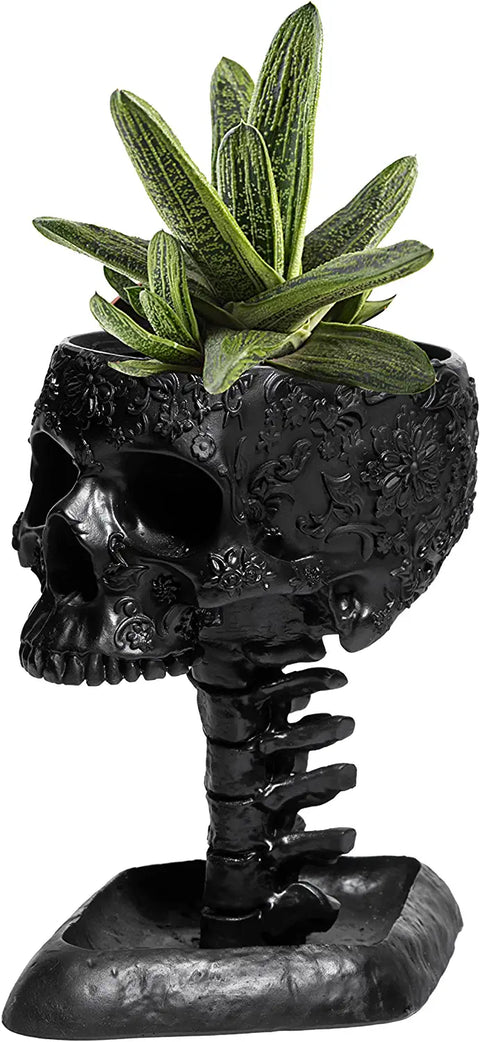 Skull with Backbone Plant Planter Pot 6"