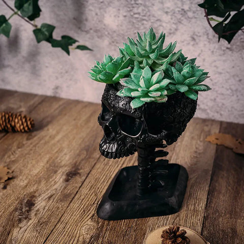 Skull with Backbone Plant Planter Pot 6"