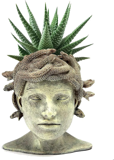 Medusa Head Planter, Large Solid Stone Face Planter