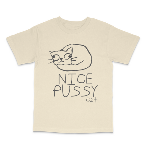Nice Pussy Cat Funny Meme T-Shirt Viral Cat Joke Shirt, Adult Humor Novelty Tee