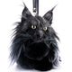 Maine Coon Cat Backpack – Realistic Cat Stylish Daypack