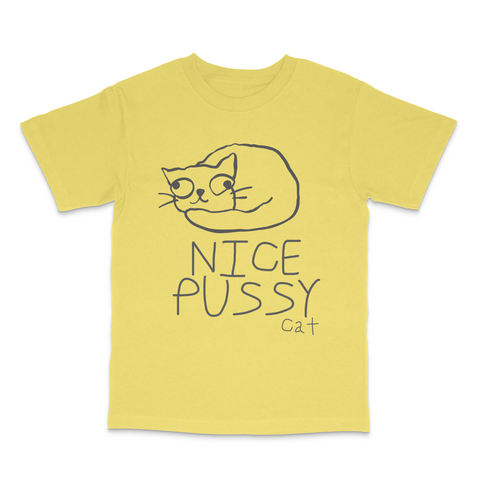Nice Pussy Cat Funny Meme T-Shirt Viral Cat Joke Shirt, Adult Humor Novelty Tee